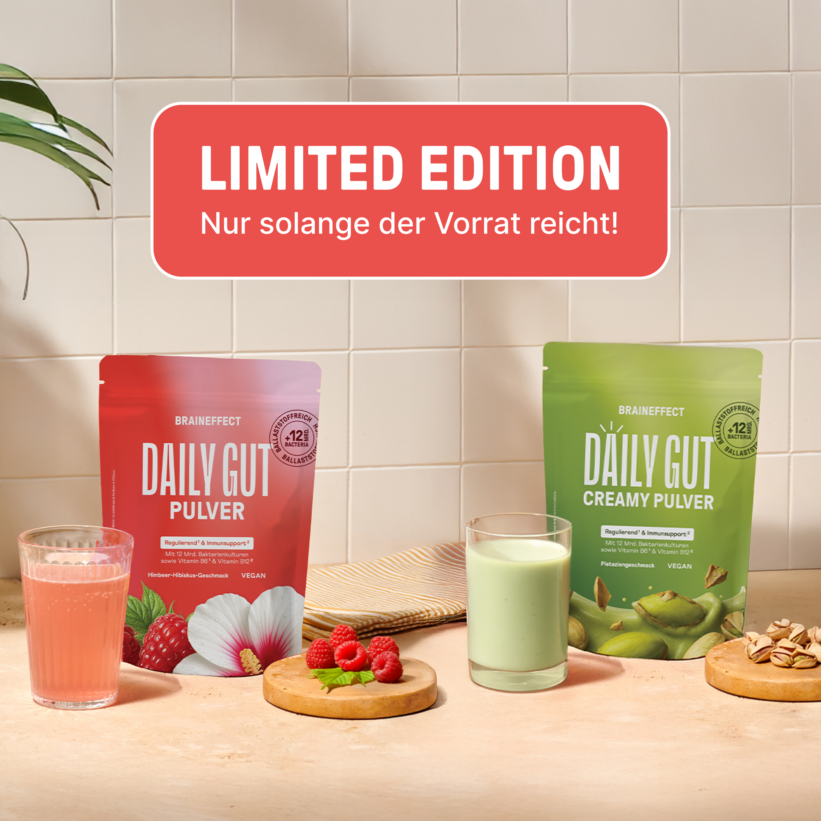 DACH-daily-gut-summerflavours-bundle-2700x2700-pdp-gallery-3