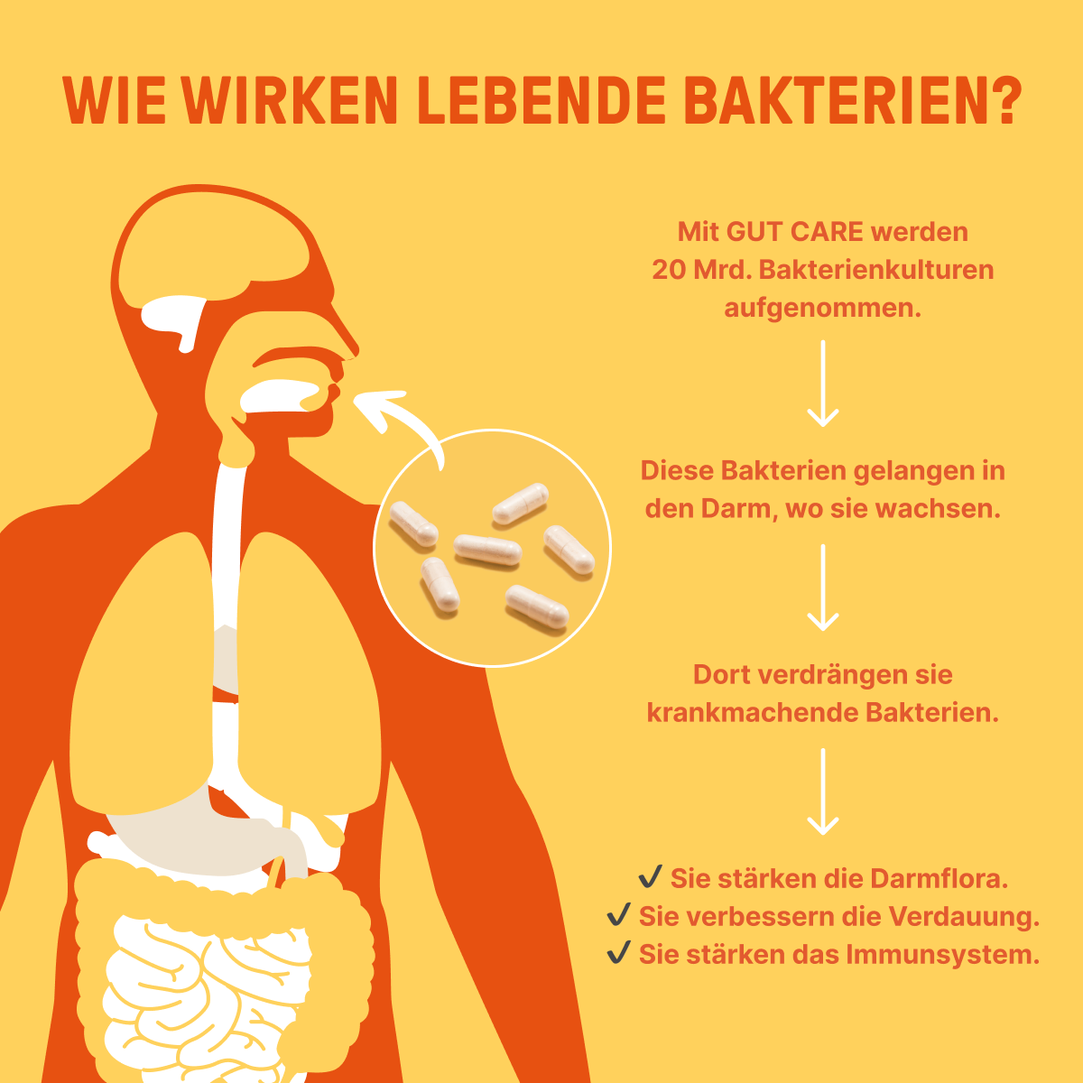 GUTCARE_LP_Travelessential_LP-1_Content-3