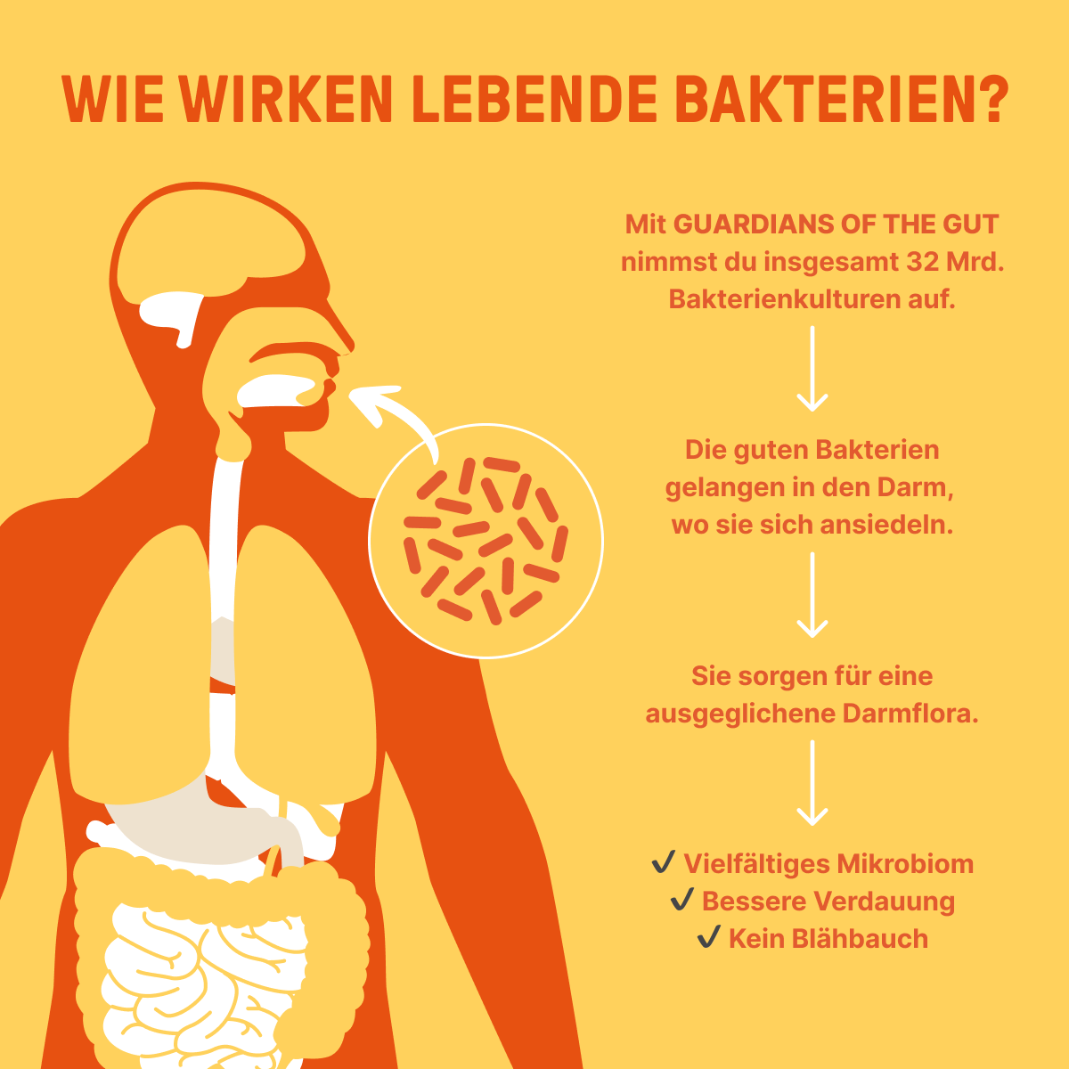 Guardians-of-the-Gut_LP-1_Content-1
