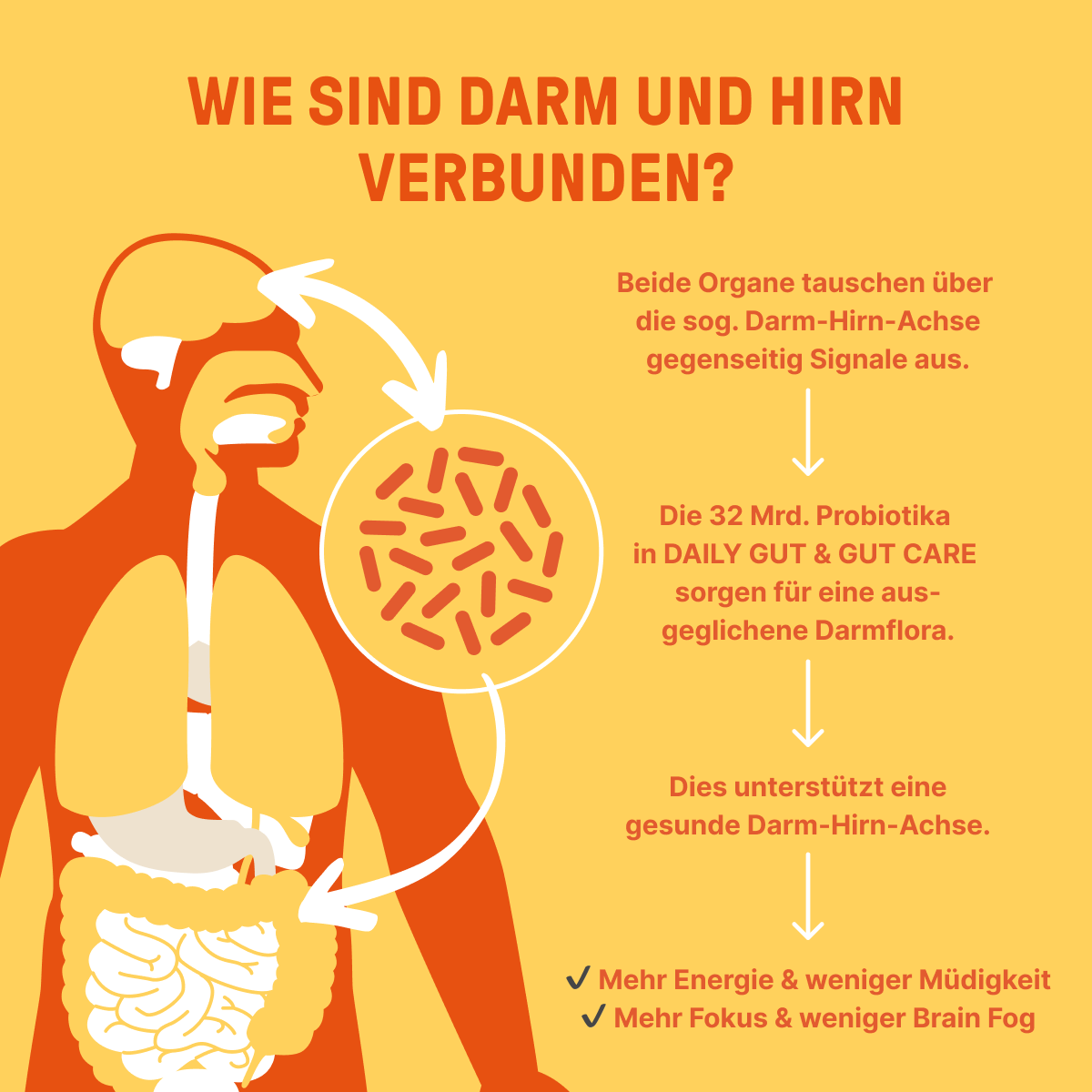 Guardians-of-the-Gut_LP-1_Content-3