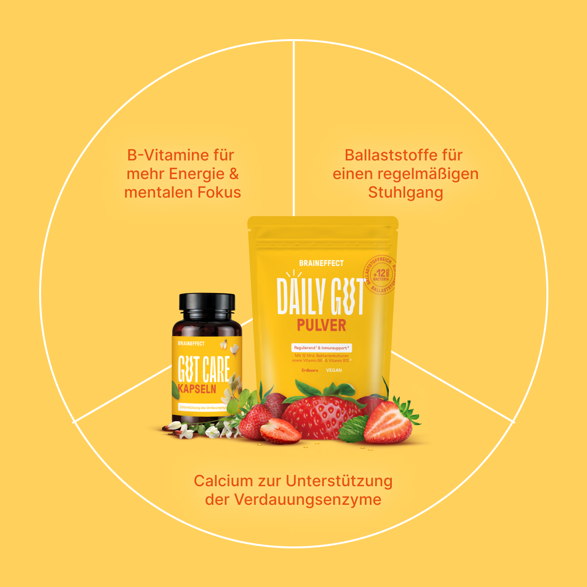 Guardians-of-the-Gut_LP-1_Content-8