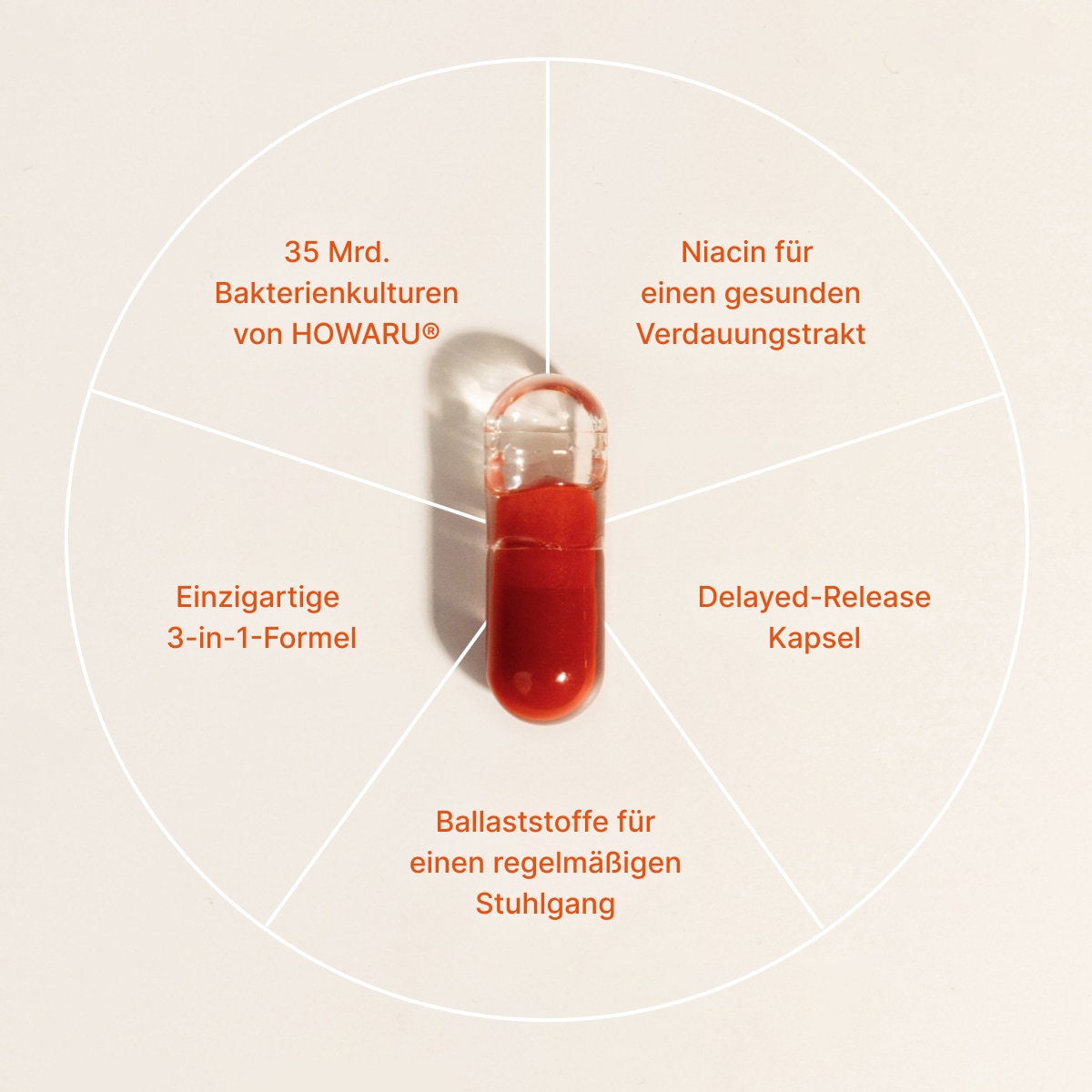 Gut-Restore_LP-2_Content-2