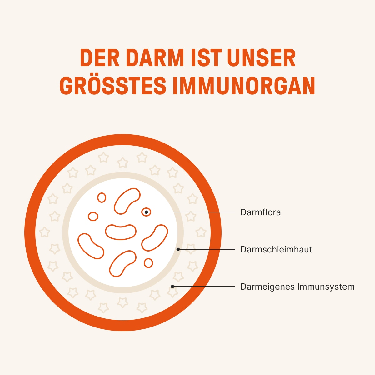 Gut-Restore_LP-3_Content-3