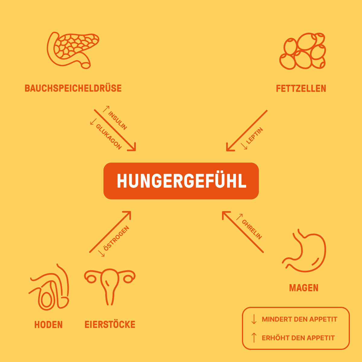 HormoneBalance_LP_foodcravings_Content_desktop_1.2