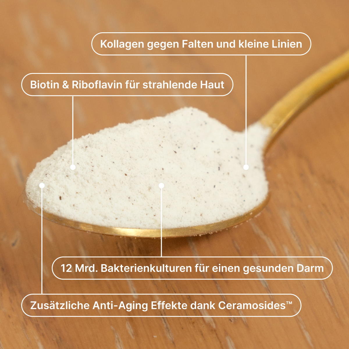 LP2-dg_collagen-Content-v2