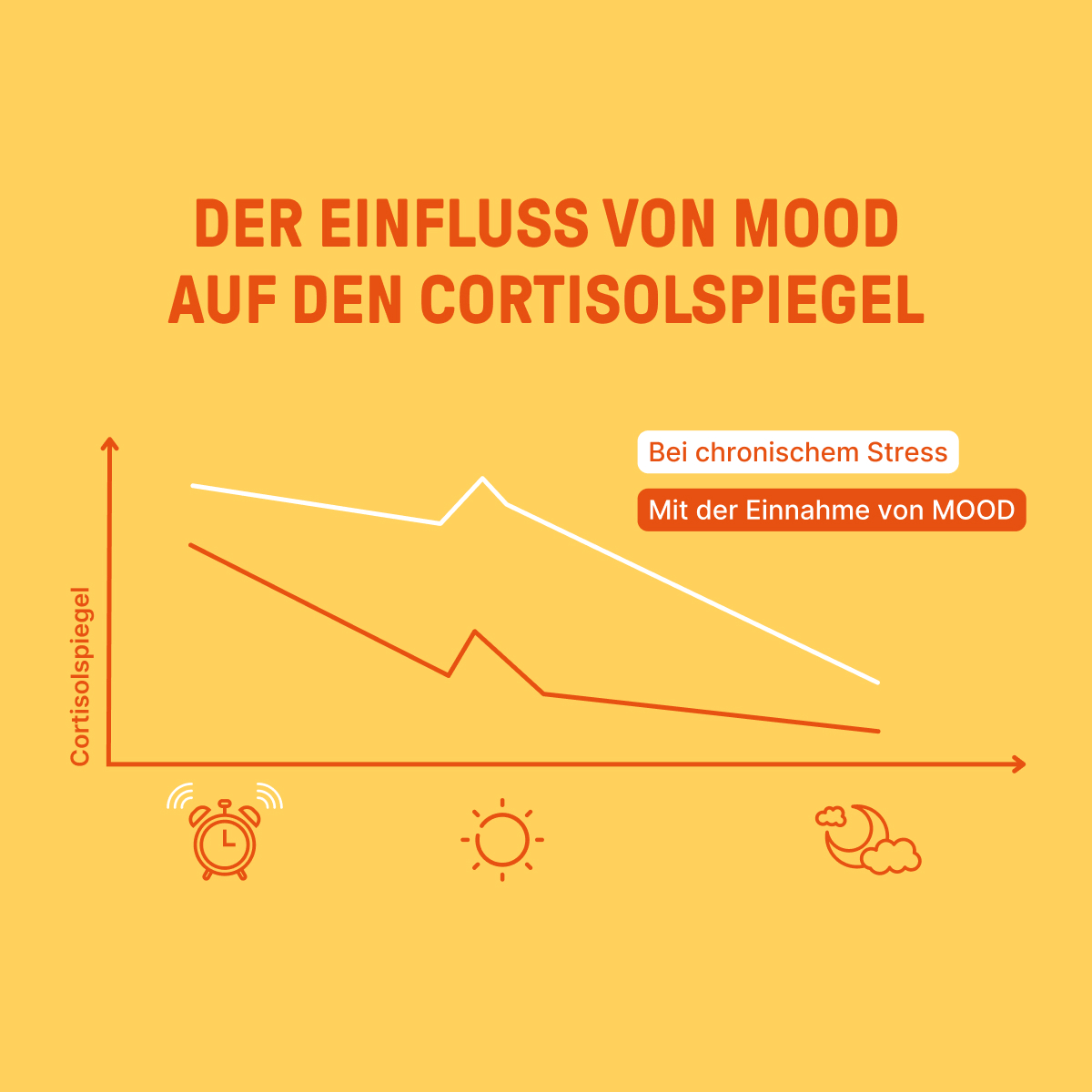 Mood_LP-1_Content-1