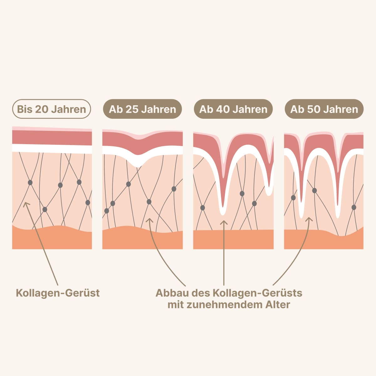 daily-collagens-Content-2_1_